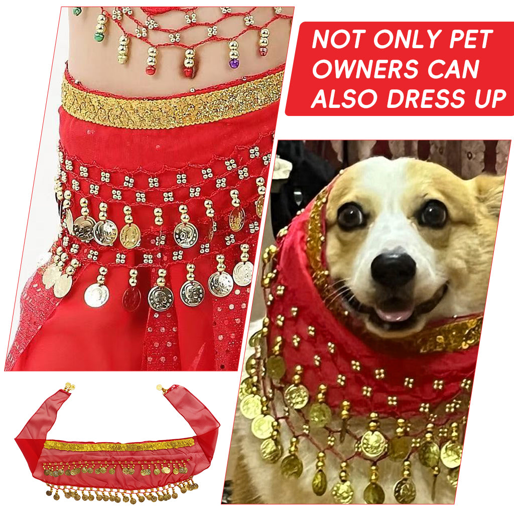 Qpets Dog Skirt, Belly Dancer Skirt for Dogs, Belly Dance Hip Scarf Fun Dog Costume for Party Silver Tassels Coins Sash for Dog Costume Party Prop