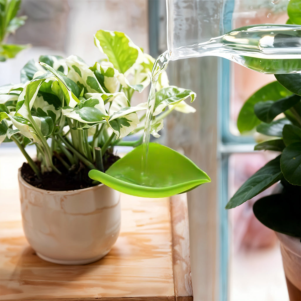 HASTHIP 3Pcs Small Plant Pot Watering Tools Slow Watering Tool Creative Decorative Leaf Shape Watering Gentle Watering Channel Funnel for Indoor Plants Small Desk Plant Office Plant