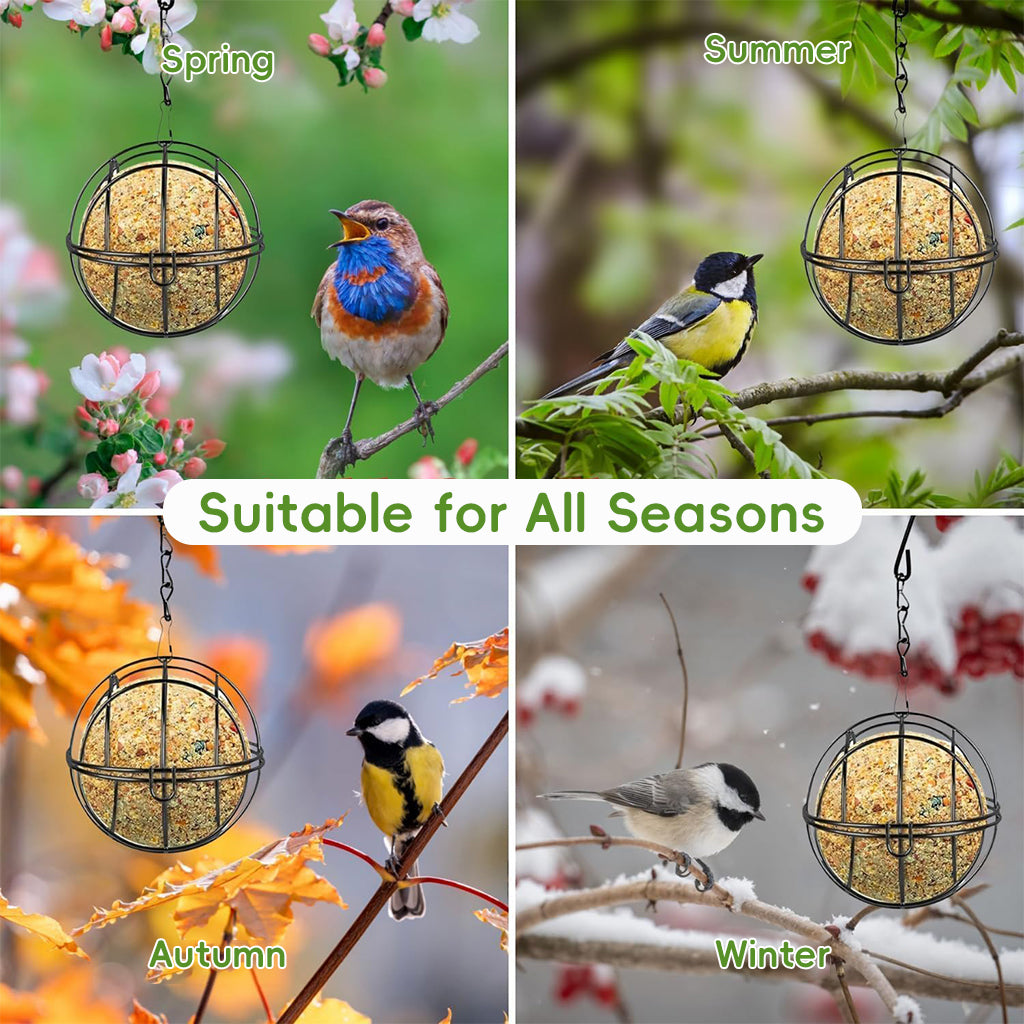 Qpets Metal Wire Ball-shaped Bird Feeder for Insects & Nuts Suet Balls Hanging Wire Ball-shaped Bird Feeder for Tree, Balcony, Garden