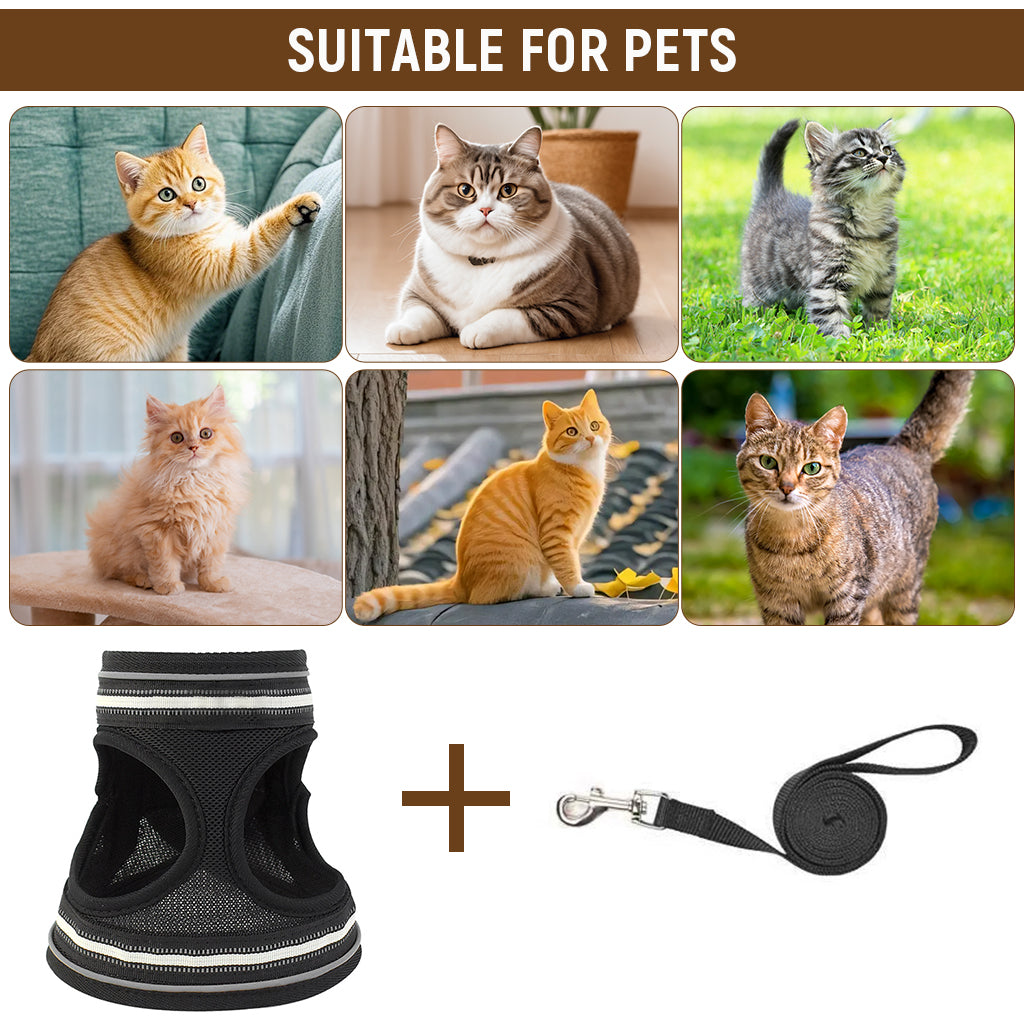 Qpets Cat Harness with 59'' Leash Small Cat Vest Harness Cat Harness Safety Night Reflective Strip Design Breathable Adjustable Quick Release Summer Cat Harness for Walking, M