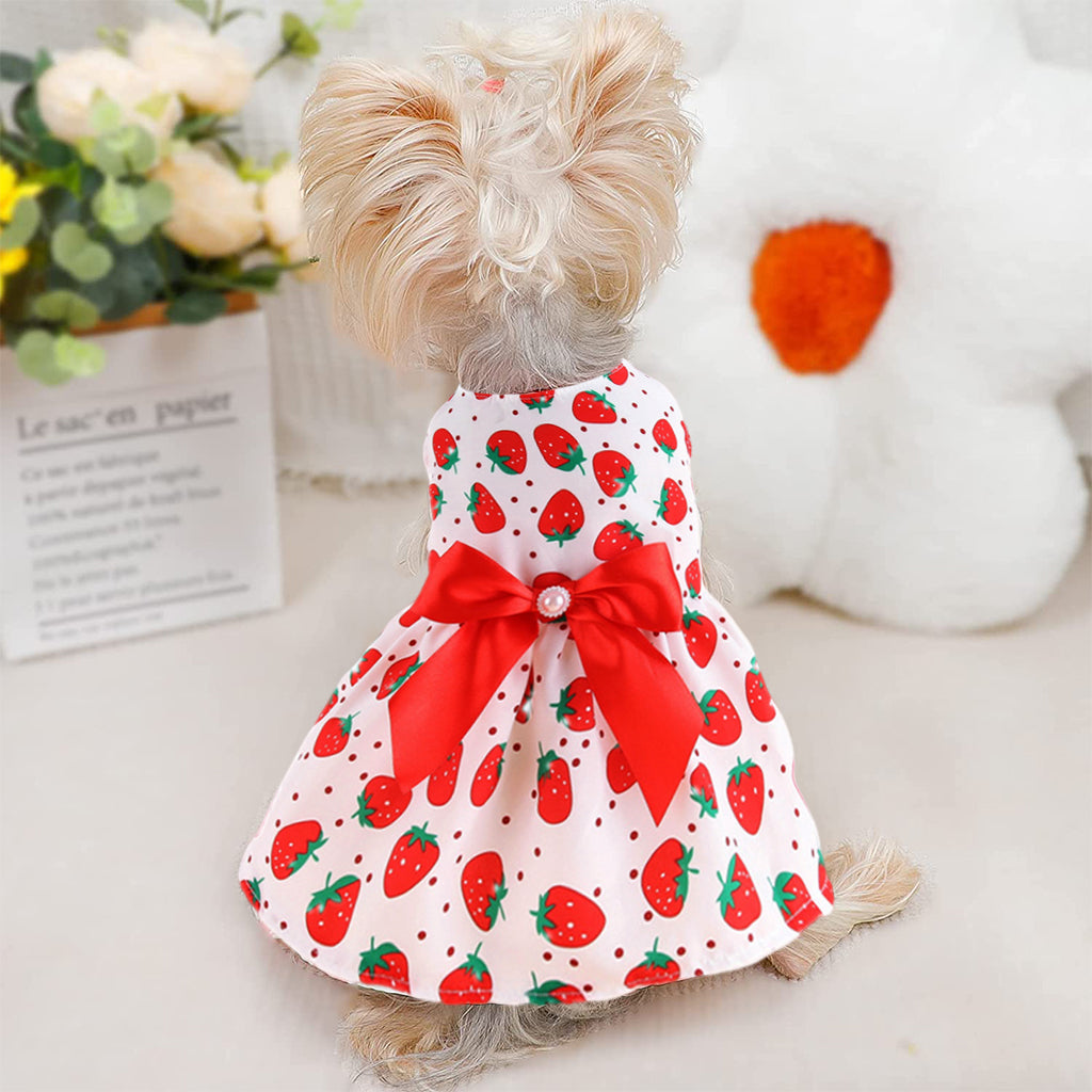 Qpets Summer Female Dog Dress for Small Dogs Kitten Clothing Cute Strawberry Bow Print Princess Dress for Puppies, Kittens, Chihuahua, Maltese, Pug, Papillon, Size S