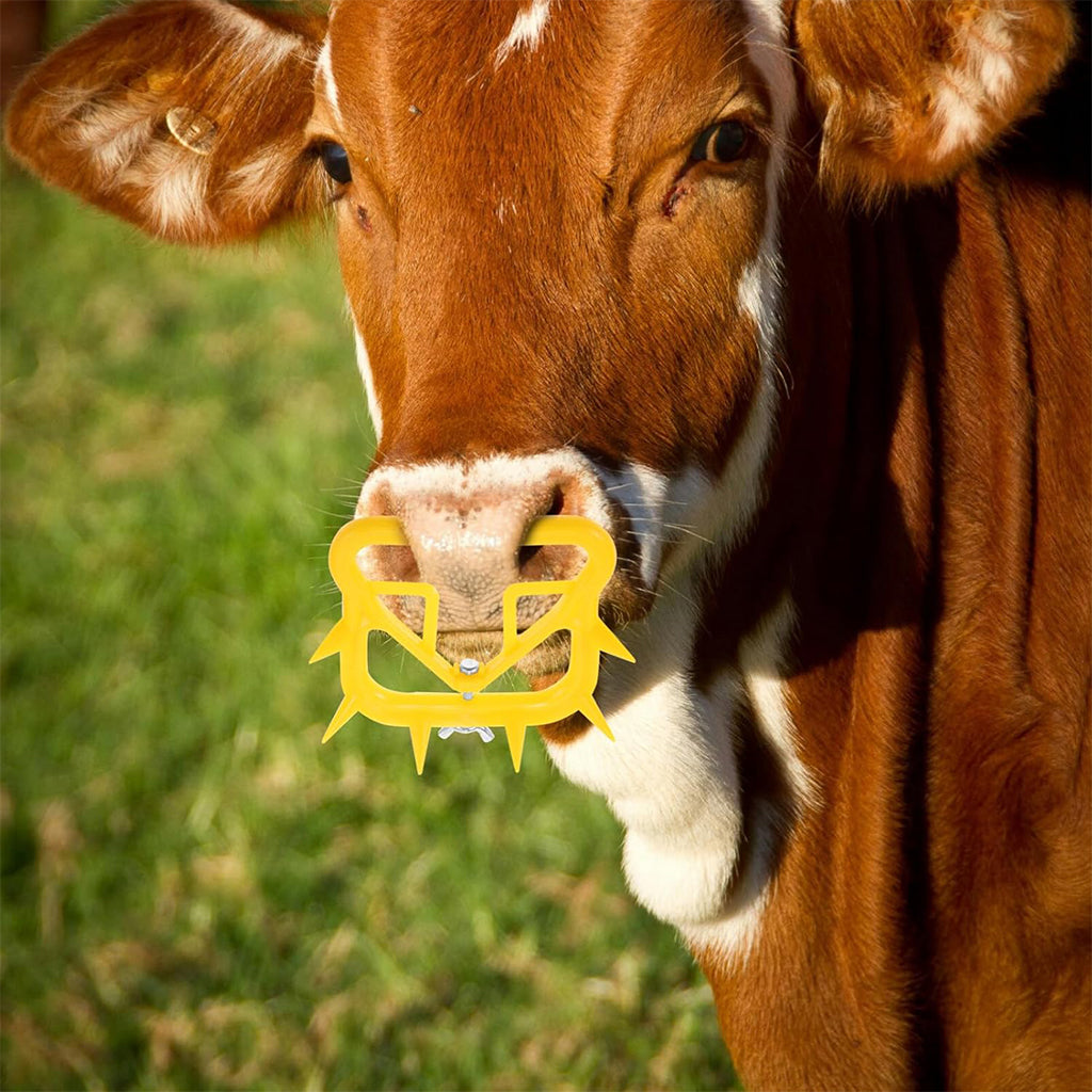 HASTHIP 4Pcs Cattle Weaning Ring Spiky Weaning Nose Ring for Cattle Durable Plastic PVC Removable Screwing Fix Adjustable Weaning Nose Rings