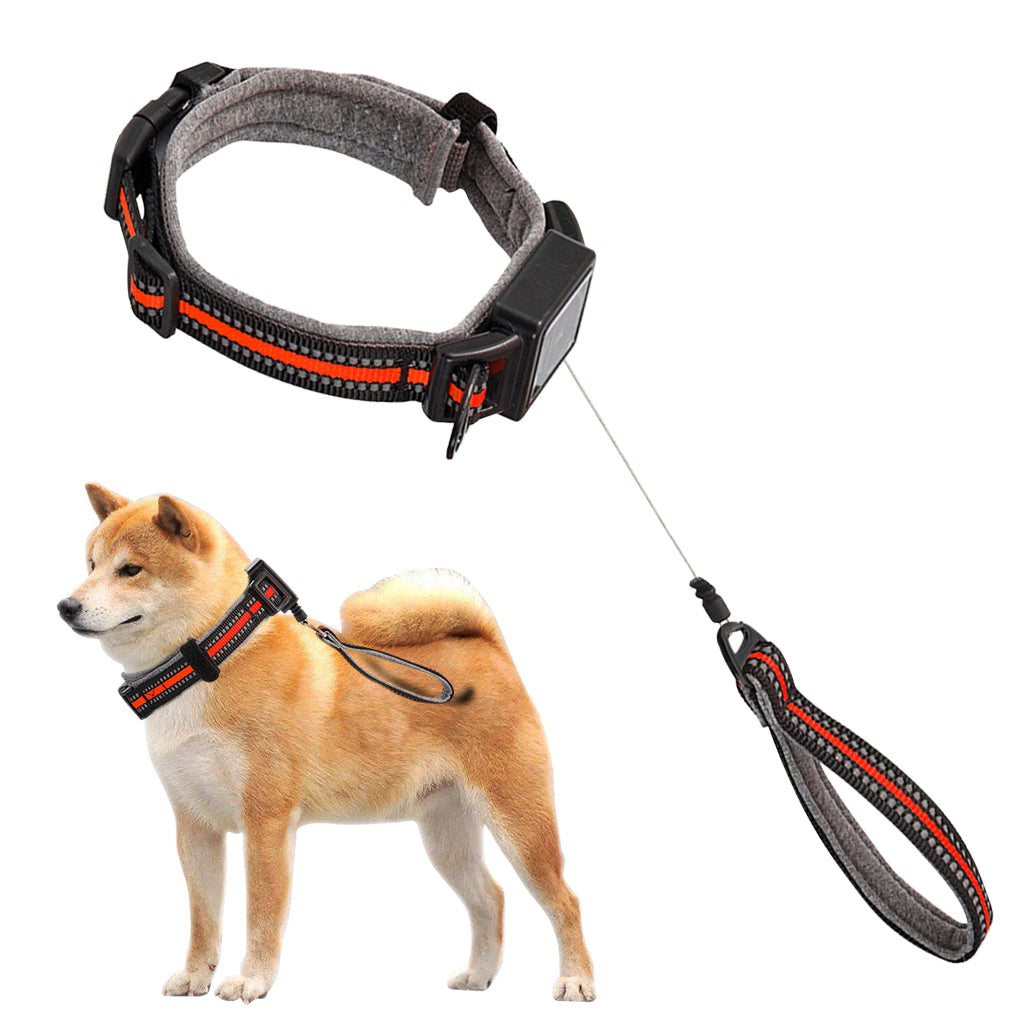 Qpets Dog Collar 2 in 1 Adjustable Dog Collar with 1.5 Meters Retractable Pull Handle Intergrated Dog Leash Dog Collar Night Safety Reflective Dog Collar for Medium /Large Dog, Suitable for 25-45kg