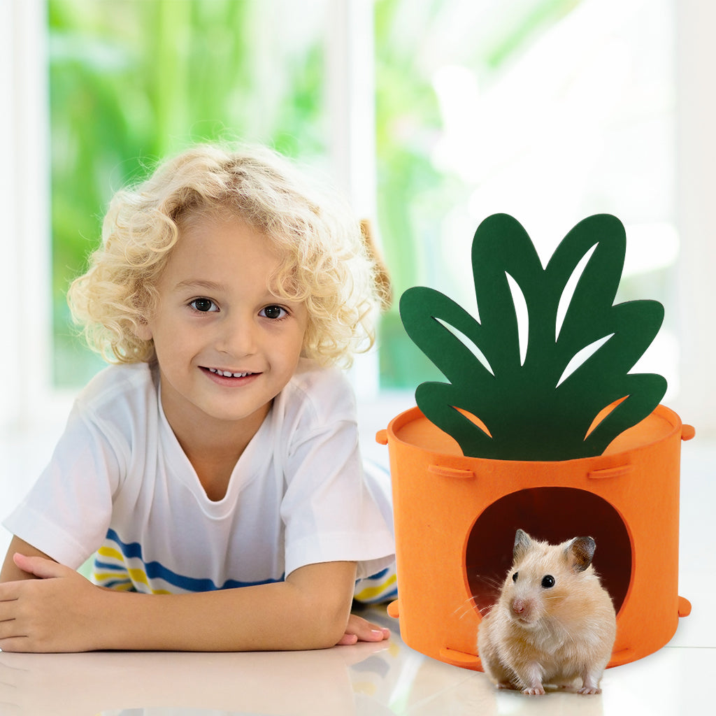 Qpets Hamster House Rabbit House, Felt Carrot Bunny House Cute Guinea Pig House Small Pet Hideout, DIY Assembly Washable & Detachable Small Pet House Play Cave for Hamsters, Mice, Rabbits -17X13.5CM