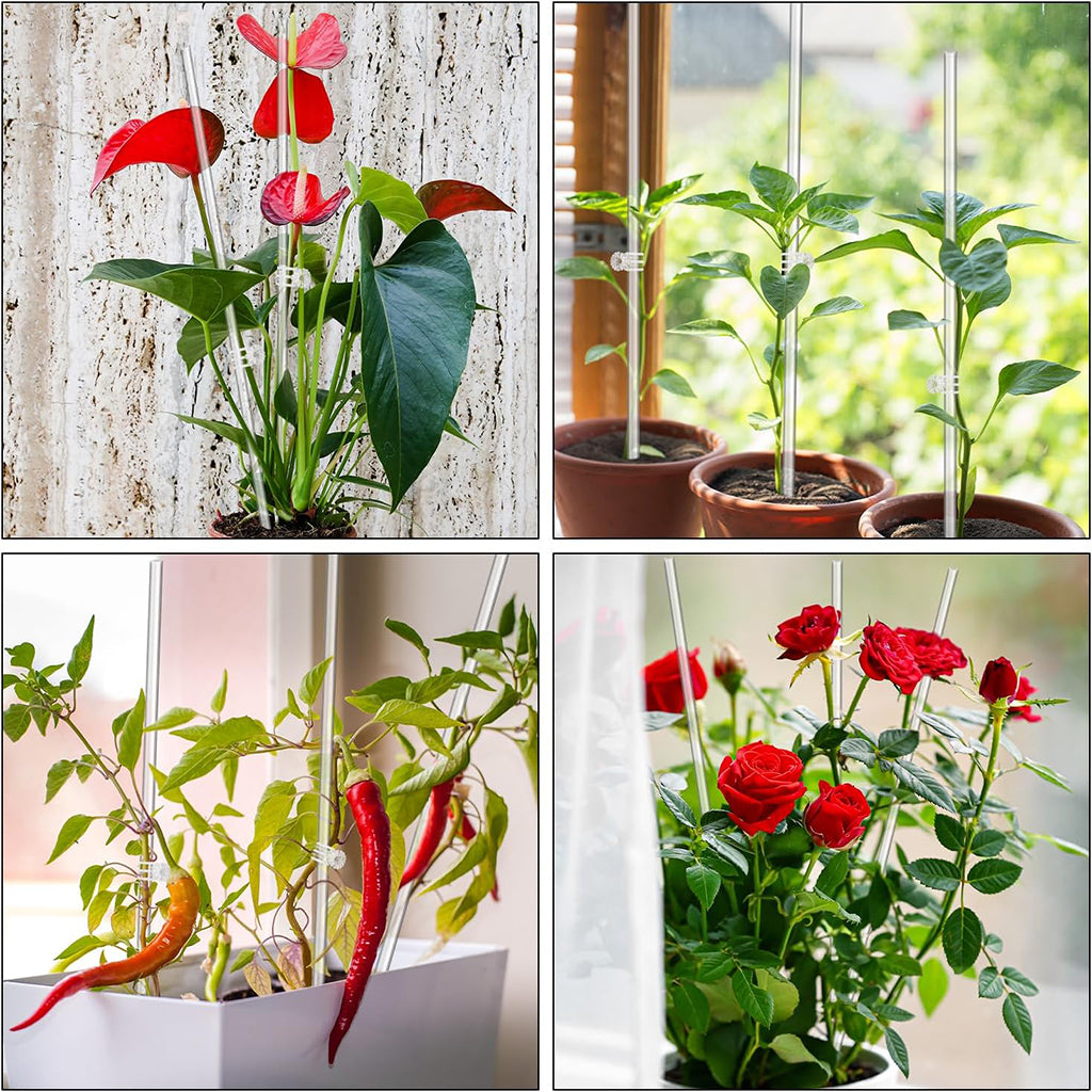HASTHIP 10Pcs Plant Support Sticks with 10 Plant Claw Clips 15.75 inches Acrylic Clear Plant Support Stakes Plant Stand Stakes for Planters, Flower Pots