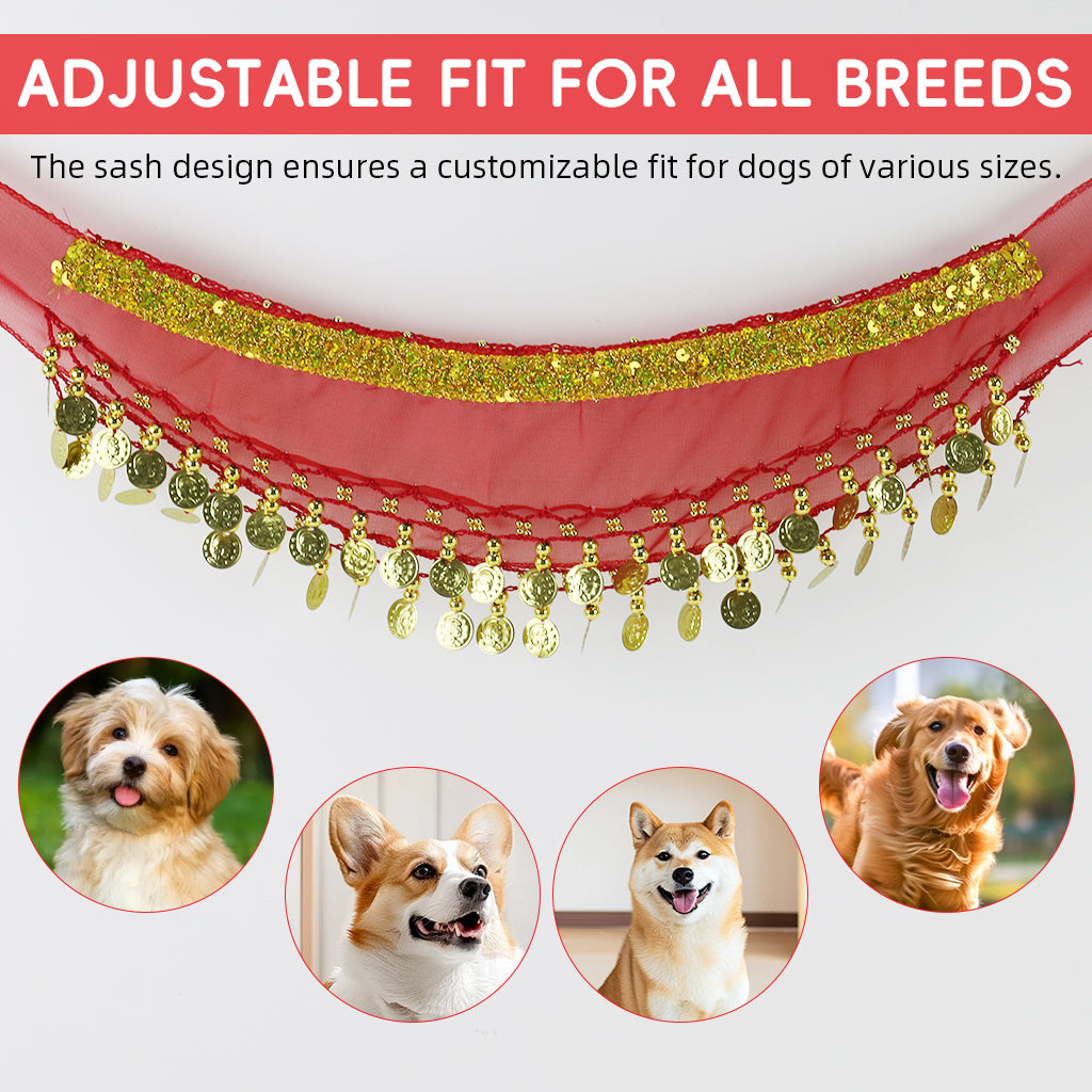 Qpets Dog Skirt, Belly Dancer Skirt for Dogs, Belly Dance Hip Scarf Fun Dog Costume for Party Silver Tassels Coins Sash for Dog Costume Party Prop