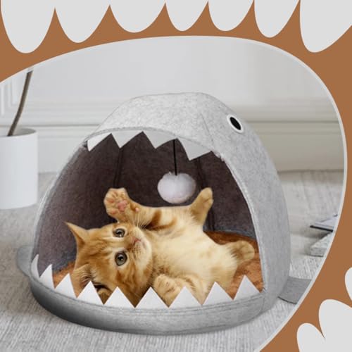 Qpets Cat Bed, Kawaii Cartoon Open Shark Mouth Cat Bed Felt Plush Cat Bed Soft Padded Cat Sleeping Bed Cat Mat Cat Nest with Plush Ball Hanging Toy Washable Cat Game Cave Cat Bed for All Season