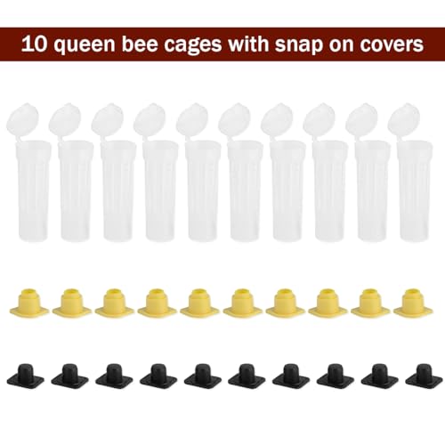 HASTHIP® 20PCS Queen Bee Cages with Snap-On Lids Vented Plastic Introduction Cages with Bottom Candy Plug for Safe Reusable 2.6cm x 7.8cm