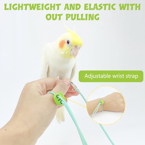 Qpets Parrot Leg Ring, Elastic Rope Parrot Ring for Leg, Parrot Toy 6.6ft Bird Aviator Leash for Budgerigars, Cockatiels, Parrot Bird Leash with 0.75cm Feet Loop & Adjustable Wrist Clasp