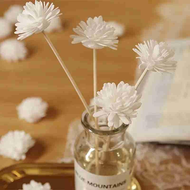 HASTHIP® Reed Diffuser Sticks