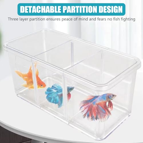 Qpets Desk Fish Tank with Air Ventilation Lid Transparent Desk Small Fish Tank with 3Pcs Dividing Inserts Desk Fish Tank -18x8.5x8.5cm