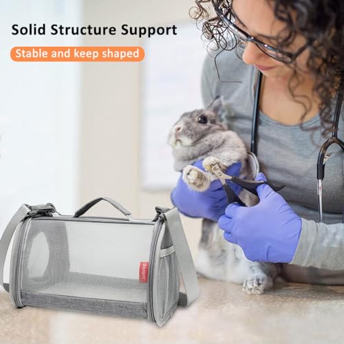 Qpets Guinea Pig Carrier Bag