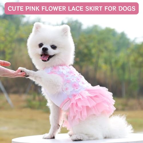 Qpets Dog Clothes Small Dog Floral Dress Cut Pink Flower Lace Skirt Summer Dog Clothes Dress Small Dog Cat Party Costume (L, Pink)