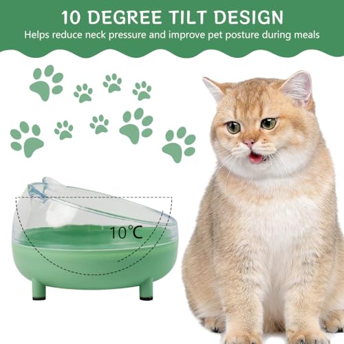 Qpets Cat Bowl, Cat Accessories Round Tilted Cat Food Bowls, Elevated Cat Bowl Dog Food Bowl with Holder for Cats Dogs - Diameter 13CM & Tilted Stand 10 Degree (Green)