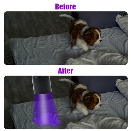 Qpets® 395NM UV Light Torch 12 LEDs UV Portable Flashlight Jade Appraisal Light Detector Lamp Also Used for Leak Pet Urine Bed Bug Scorpion Hotel Inspection Dry Stain X3
