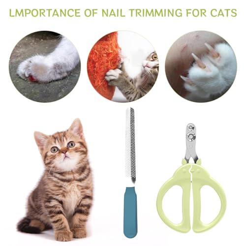Qpets Cat Nail Clipper Upgrade Dual Hole Pet Nail Clipper Stainless Steel Nail Clipper with Nail File Safety No Hurt Cat Nail Clipper Pet Grooming Tools