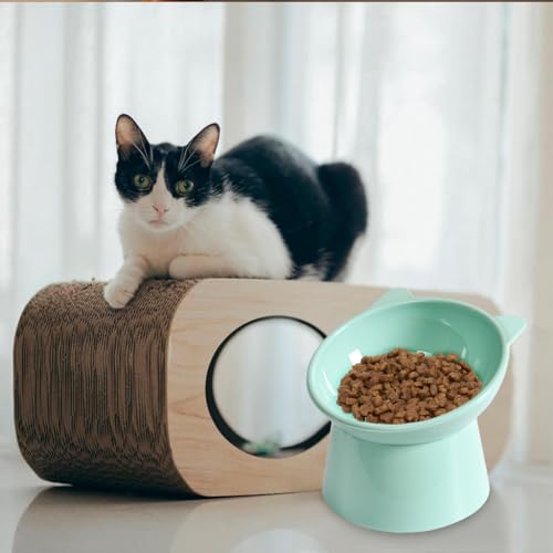 Qpets® Cat Feeding Bowl, 11.5cm Elevated Cat Bowl Feeder, Raised Anti Vomiting 45°Slanted Bowl Pet Food Dish Healthy with Anti-Tip Design for Kittens (2Pcs, Green)