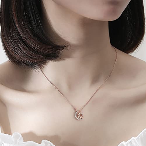 SANNIDHI the Litthe Prince Necklace for Women, Exquisite Inlaid Zircon Le Petit Prince Pendant Necklace for Girls Ladies, Fashion Chain Necklace Jewelry with Gift Box, Rose Gold