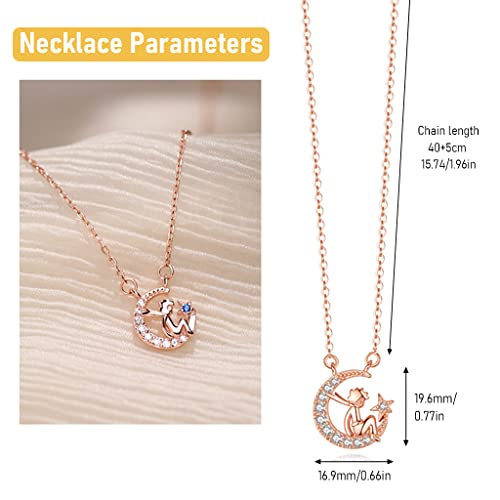 SANNIDHI the Litthe Prince Necklace for Women, Exquisite Inlaid Zircon Le Petit Prince Pendant Necklace for Girls Ladies, Fashion Chain Necklace Jewelry with Gift Box, Rose Gold