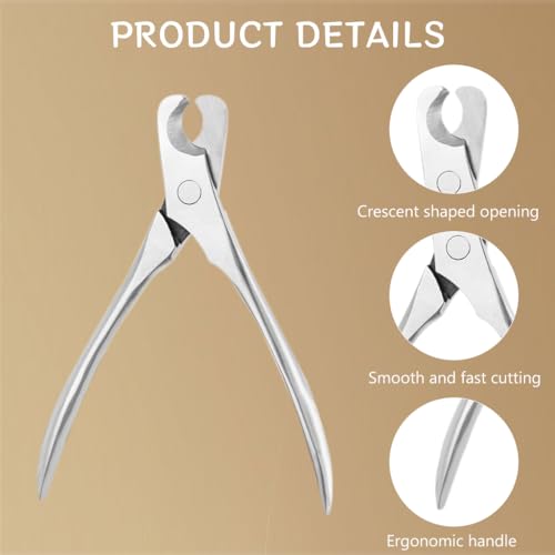 Qpets Cat Nail Cutter Dog Nail Clipper, 5 Inches Pet Nail Clipper for Dogs Cats Labor Saving Spring Loaded Stainless Steel Dog Nail Clipper Trimmer Cats Nail Clipper