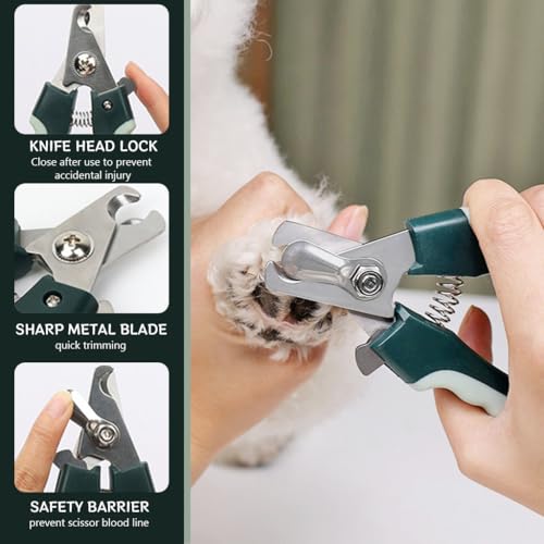 Qpets 8 in 1 Pet Grooming Kit with Hand Bag Cats Dogs Hair Grooming Tools with Dematting Tool, Nail Clipper & File, Pet Slicker Brush, Bathing Brush, Pet Double Side Teeth Brush, Folding Food Bowl