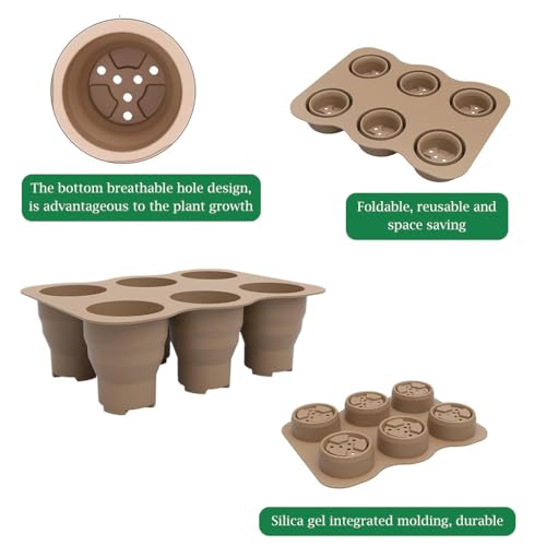 HASTHIP® Silicone Seedling Germination Tray Seed Starter for Home Gardening Microgreen Growing with 6 Cell Reusable Greenhouse for Plant Seeds Propagation 2 PCS