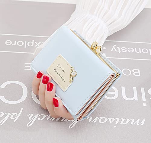 PALAY® Mini Wallet for Women PU Leather Small Card Holder Ladies Purse Hand Clutch Holder with Heart-Shaped Metal Buckle Mothers Day Gift for Mom(Blue) 2 PCS