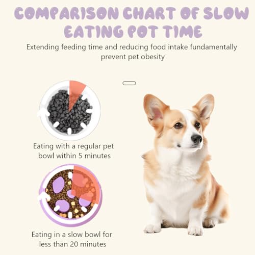Qpets Dog Slow Feeder, Layer Pet Slow Feeder for Wet & Dry Food Pet Treats Slow Feeder, Dog Food Bowl Cat Food Bowl Food-Grade BPA free Plastic Pet Slower Feeder for Dogs Cats (24x23.5x7.8CM)