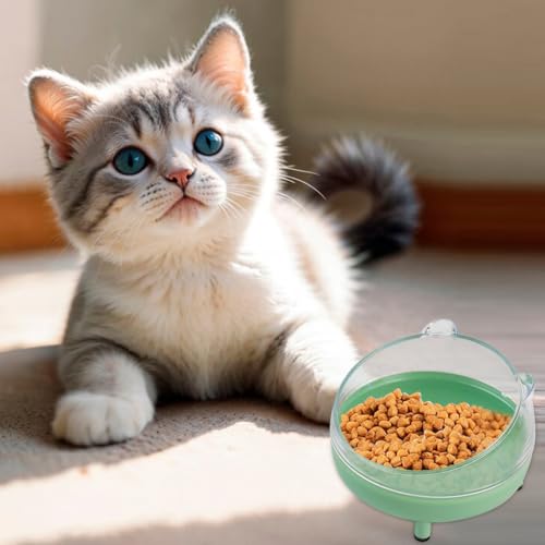 Qpets Cat Bowl, Cat Accessories Round Tilted Cat Food Bowls, Elevated Cat Bowl Dog Food Bowl with Holder for Cats Dogs - Diameter 13CM & Tilted Stand 10 Degree (Green)