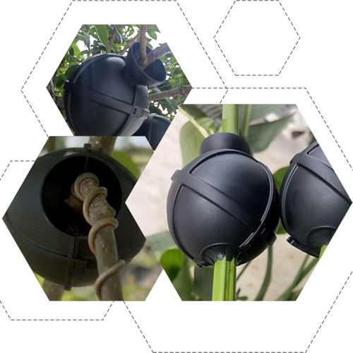 HASTHIP® 6-Pack Plant Rooting Ball Air Layering Propagation Reusable Pods for Cloning Garden Grafting Tools Indoor Outdoor Plants Growth Eco-Friendly Gardening Kit 3PCS