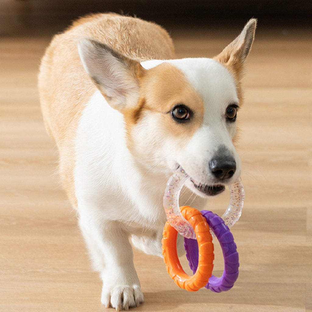 Qpets TPR Dog Tug Toy Chewing Toys 3.54 inches Dia Interlinked Tri-ring Tear-Resistant Dog Toy