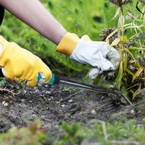 HASTHIP® 3pcs Weeder Hand Tool 40cm Garden Weeding Steel 6-Claws with Rubberized Handle Portable Manual Puller for Lawn Plant Pot