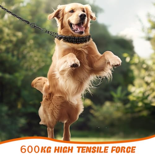 Qpets Large Dog Leash, Metal Dog Chain Leash for 55-110 lbs Large Dog Breeds 5.5Ft Iron Chain Leash with Nylon Handle, Quick Release Dog Leash for Golden Retriever, Pit Bulls, German Shepherd, XL