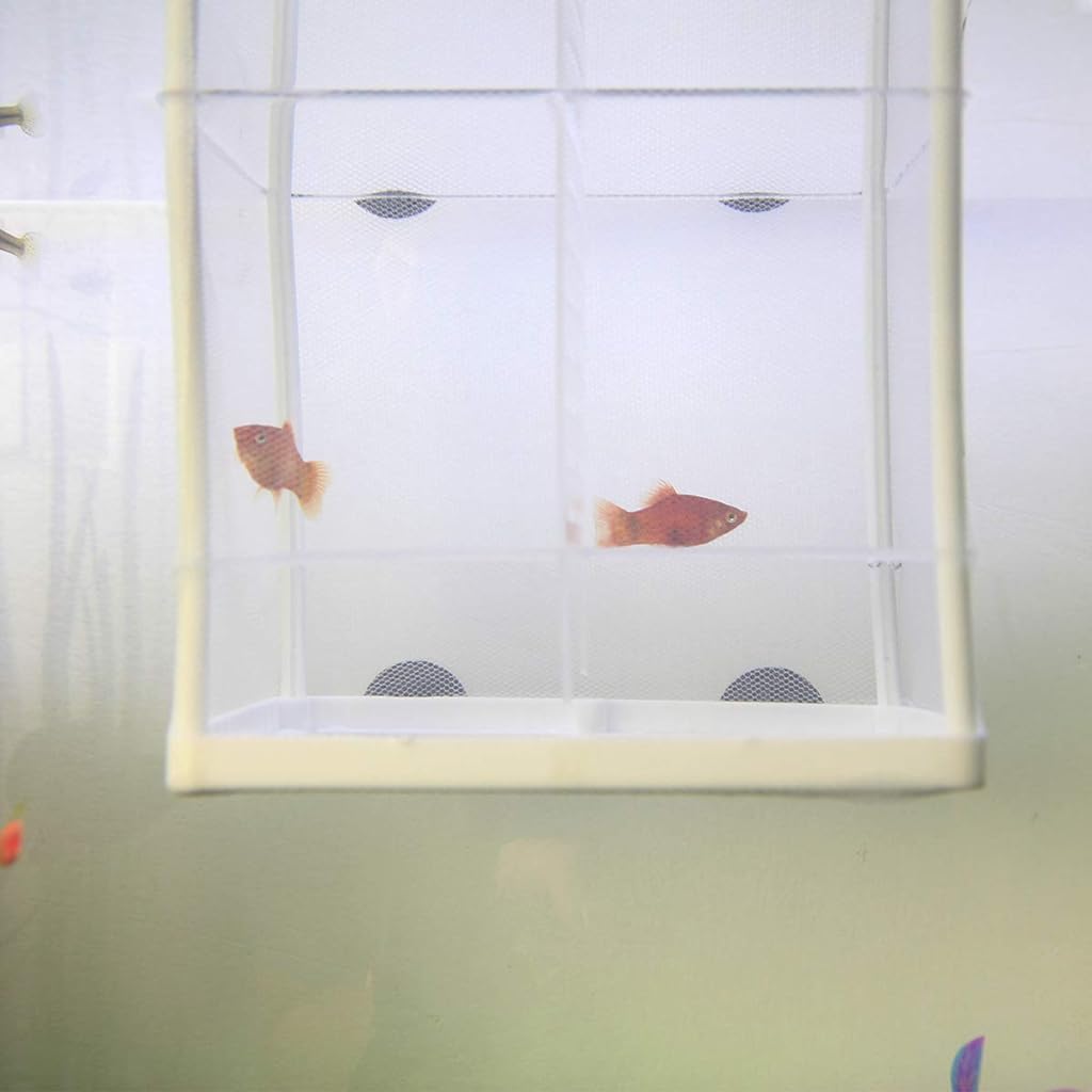 Qpets Small Aquarium Fish Tank, Fish Breeding Box Betta Fish Tank Nylon Mesh Fighter Isolation Box, Fish Fry Hatchery Box Fish Tank with Suction Cups & Isolation Panels (16x14x15CM)