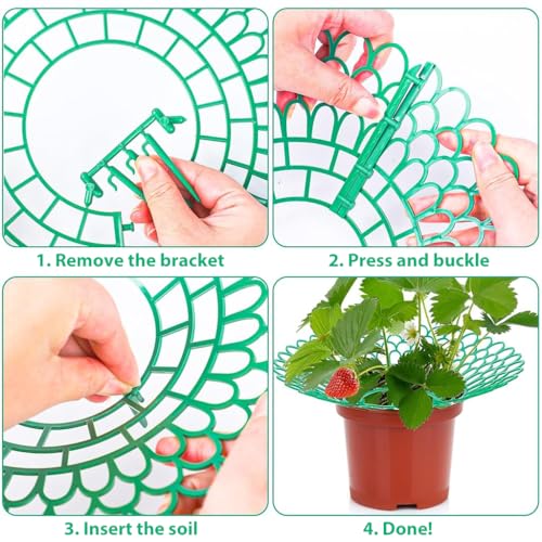 HASTHIP Strawberry Suppoort 10.49 inches Diameter Plastic Strawberry Fruits Support Grid Support Strawberry Fruits Holder Fruits Support Rack Prevent Decay