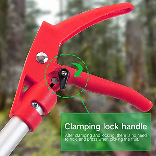 HASTHIP 100cm Fruit Plucker from Tree with Pole, Aluminum Long Reach Cut and Hold Bypass Pruner with SK5 Blade, Lightweight Pruning Tools for Cutting Leaves and Fruit Picker
