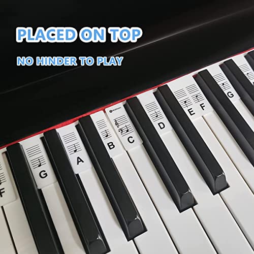 HASTHIP Piano Stickers for 61 Keys Practicing Removable Piano Keyboard No Need Stickers Notes Label, Digital Piano, Piano Guides Note Lables for Beginners, Box Packing