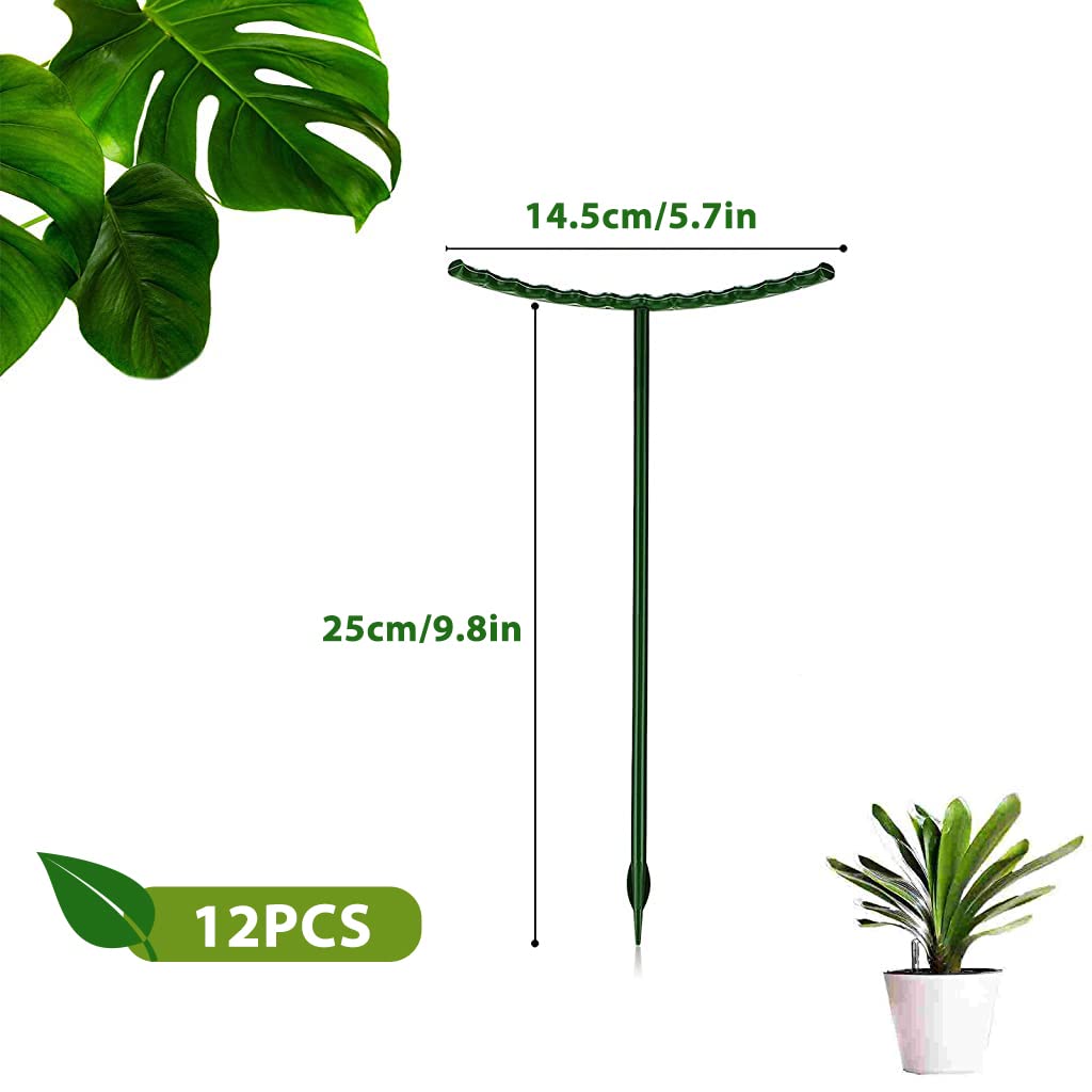 HASTHIP 15pcs Plant Stakes Wire Plant Stake Flower Support Stake Rings Plant Support Sticks for Phalaenopsis Orchid Single Stem Flowers, Amaryllis, Peony, Lily