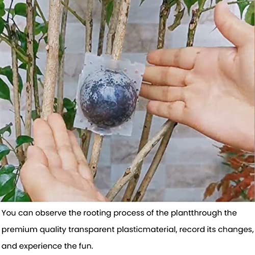 HASTHIP® 8PCS Plant Rooting Ball with Secure Locks for Indoor Outdoor Plants Reusable Grow Propagation Grafting Tools Device Root Box