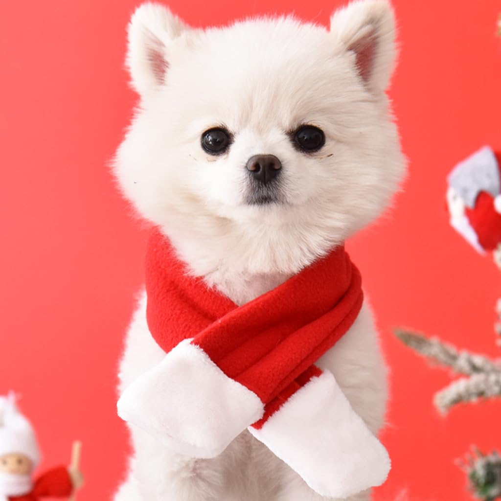 Qpets Christmas Costume for Cat Red Christmas Hat & Scarf for Cat Christmas Dressing Accessory for Cat Puppy, L
