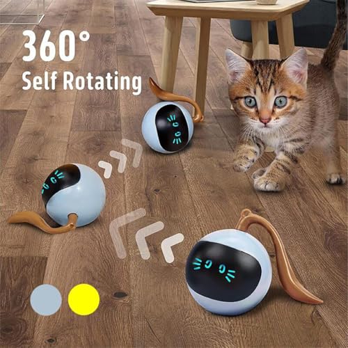 ZIBUYU® Interactive Cat Ball for Bored