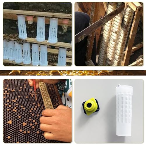 HASTHIP® 20PCS Queen Bee Cages with Snap-On Lids Vented Plastic Introduction Cages with Bottom Candy Plug for Safe Reusable 2.6cm x 7.8cm