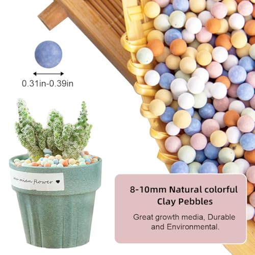 HASTHIP® 1 Pack Colored Ceramsite Clay Balls, 5-8mm Clay Pebbles for Hydroponics Potted Plants, Dia Expanded Clay Aggregate, Hydroponic Growing Media for Planter Drainage