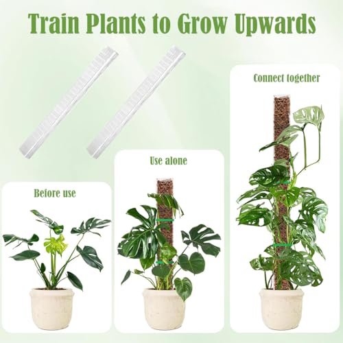 HASTHIP® 6PCS Plastic Moss Pole 23.62 Inches Monstera Climbing Pole for Plant Pot Hollow Out Upright Growing DIY Assembly