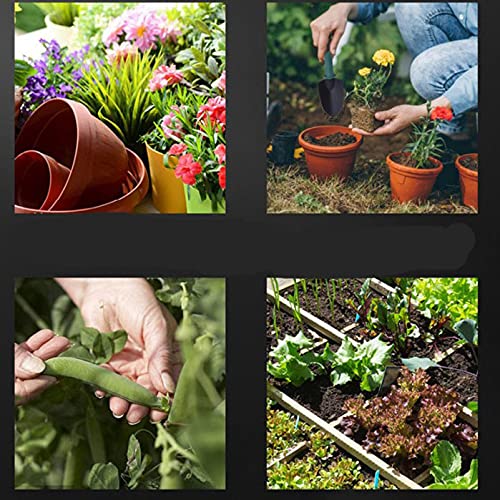 Verilux Gardening Tools Kit for Durable Gardening Equipment, Garden Accessories, Garden Home Patio, Stainless Steel Garden Tools Set with Carrying Case-10Pcs