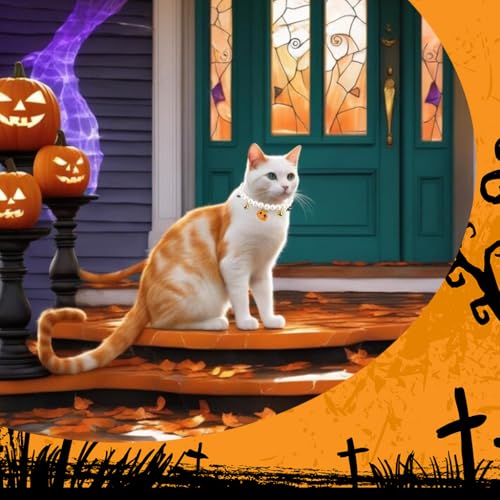Qpets 1Pcs Halloween Cat Collar Cat Beaded Collar Necklace Plastic Pearl Beaded Necklace with Halloween Smile Pumpkin Charms & Bells 22cm Diameter Small Cat Puppy Halloween Collar Necklace