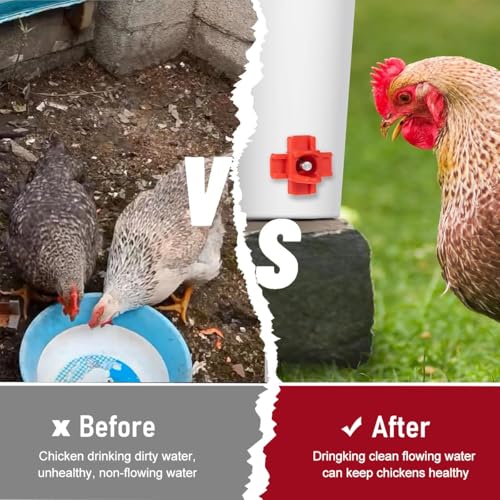 ORTIZA 12Pcs Chicken Water Feeder Kit - Automatic Chicken Nipple Waterer - Poultry Feeder/Chicken Feeder - Chicken Water Cup for Poultry - Poultry Farm Equipment for Poultry Drinker with Accessories