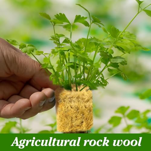 HASTHIP® 200PCS Seed Starter Rockwool Hydroponics Growing Cubes 0.98 Inches Cuttable Pad for Plant Flower Vegetable Seeds
