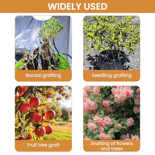 HASTHIP® Grafting Cutter Tool 3 in 1 Gardening Shears Wooden Handle Rugged Steel Cleft with Sheath Multifunctional 3PCS