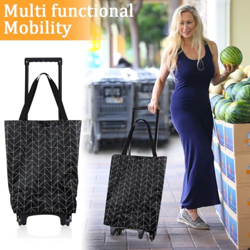 Serplex® Oxford Trolley Shopping Bag Waterproof Foldable Grocery Cart with Wheels & Lifting Handles, 20kg Capacity, Retractable Handle, Fashion Trolley Shopping Bag